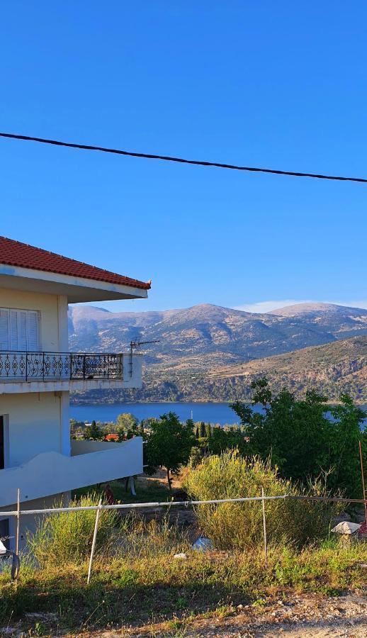 Darya Apartments Argostolion Exterior foto